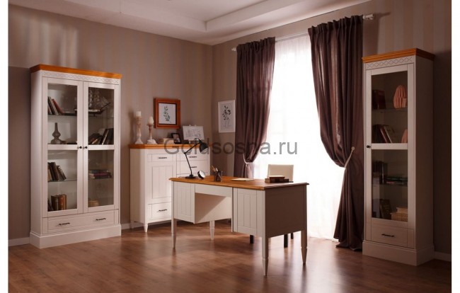 Шкаф Дания книжный 1-ств.