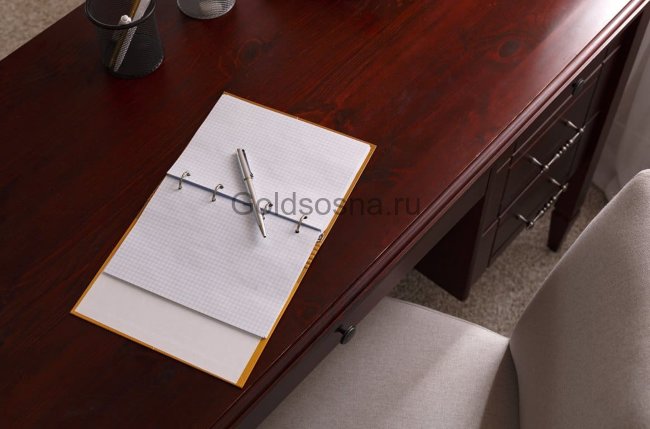 Стол письменный Дания №1