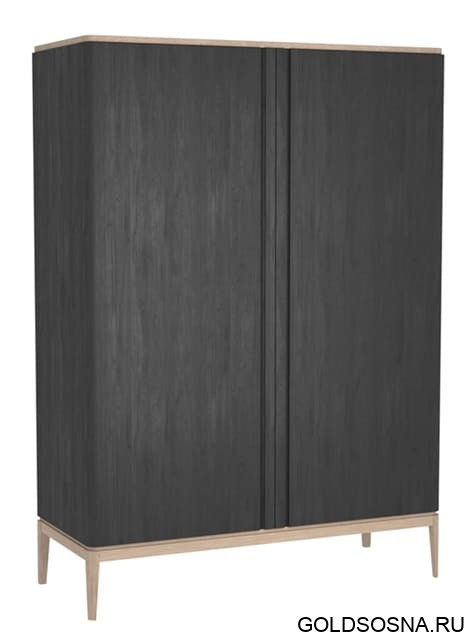 Шкаф для одежды 2-х дверный ICONS РВ 102 Шкаф для одежды 2-х дверный ICONS РВ 102