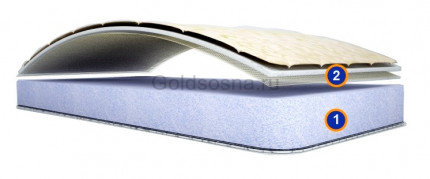 Беспружинный матрас Харди-120мм