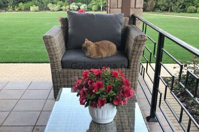 Кресло Капучино Кресло Капучино