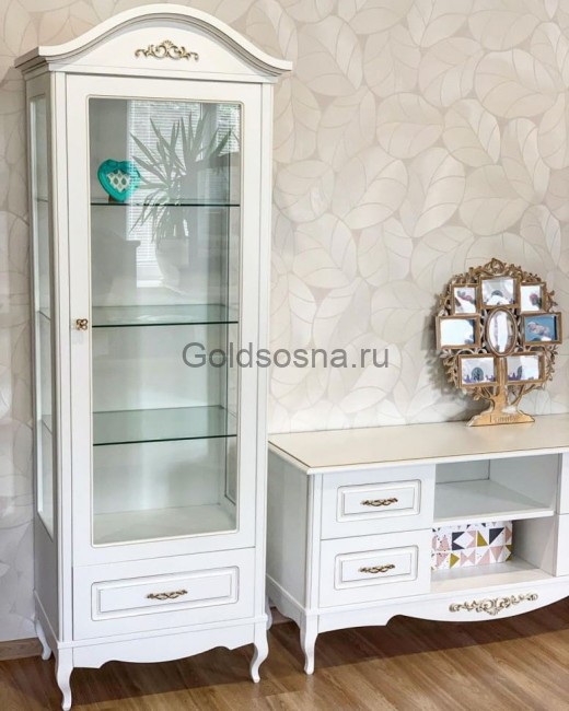 Витрина Авиньон 1 ств.